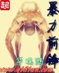 我儿子在她手上.封面