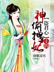 盗君心，王的神偷拽妃封面