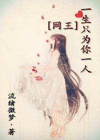 一生只为你一人封面