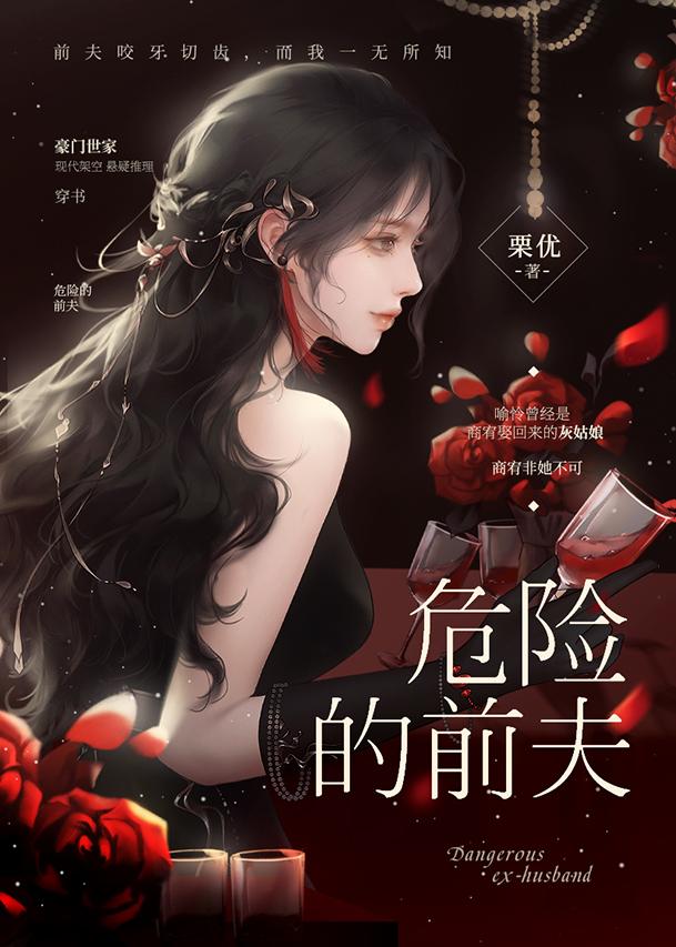 危险的前夫封面