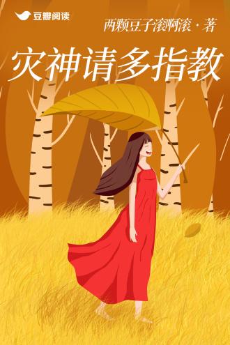 灾神请多指教封面