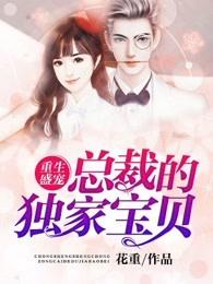 重生盛宠：总裁的独家宝贝封面