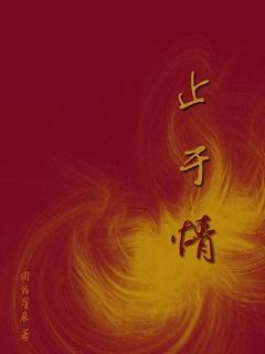 止于情封面