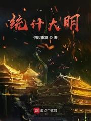 统计大明封面