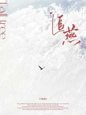 追燕封面
