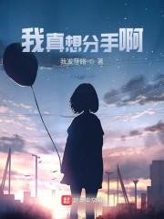 我真想分手啊封面