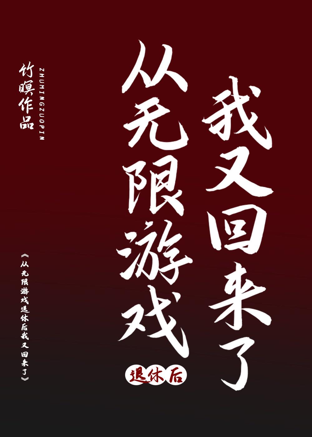 从无限游戏退休后又回来了封面