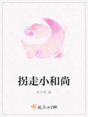拐走小和尚封面