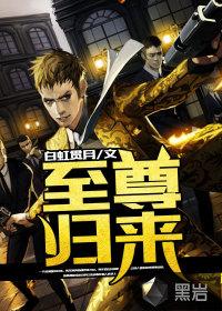 至尊归来封面