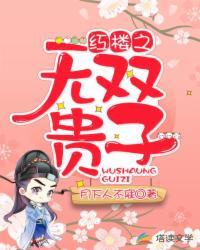 红楼之无双贵子封面