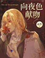 向夜色献吻封面