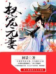 权宠元妻封面