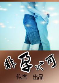 非孕不可[娱乐圈]封面