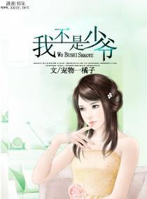我不是少爷封面