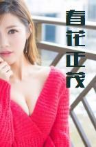 春花正茂封面