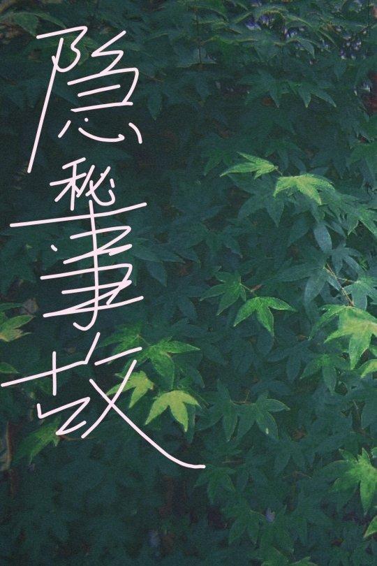 隐秘事故封面