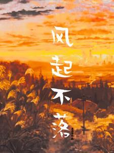 风起不落封面