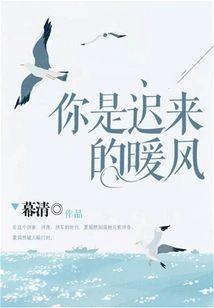 你是迟来的暖风封面