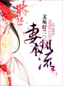 妻本风流封面