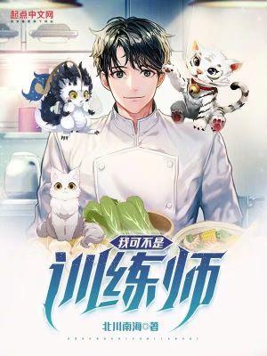 我可不是训练师封面