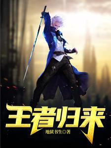 林风苏雅封面