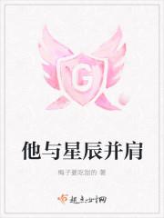 他与星辰并肩封面