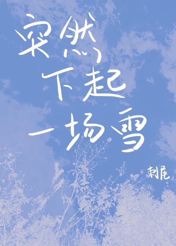 突然下起一场雪封面