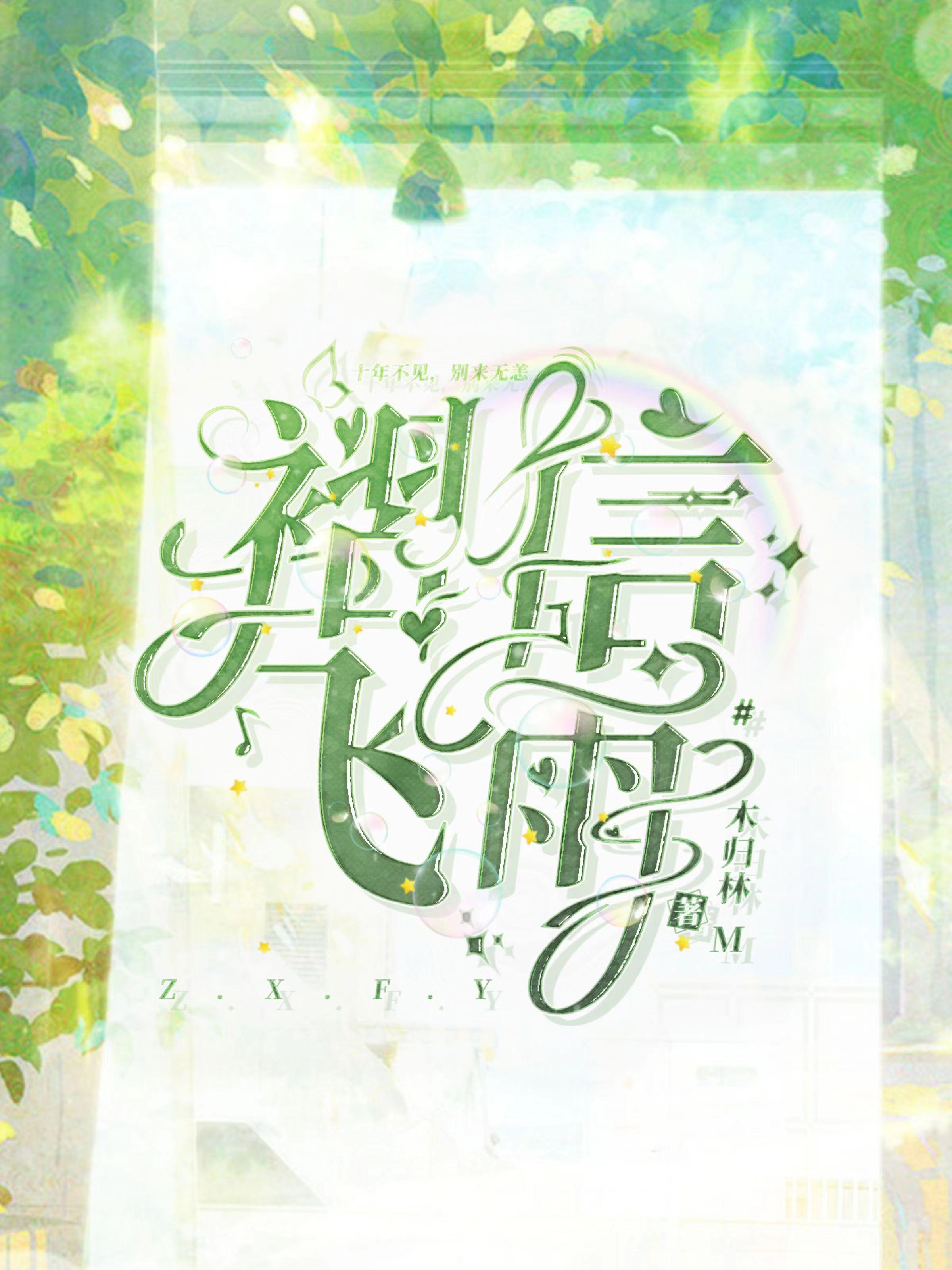 褶信飞雨封面