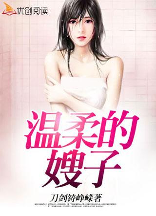 温柔的嫂子梁辰周婷封面