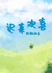 迟来欢喜封面