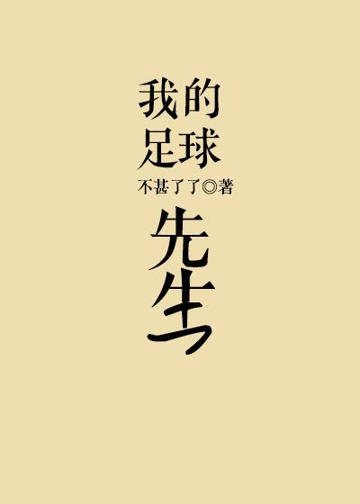 我的足球先生封面