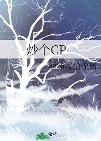 炒个CP封面
