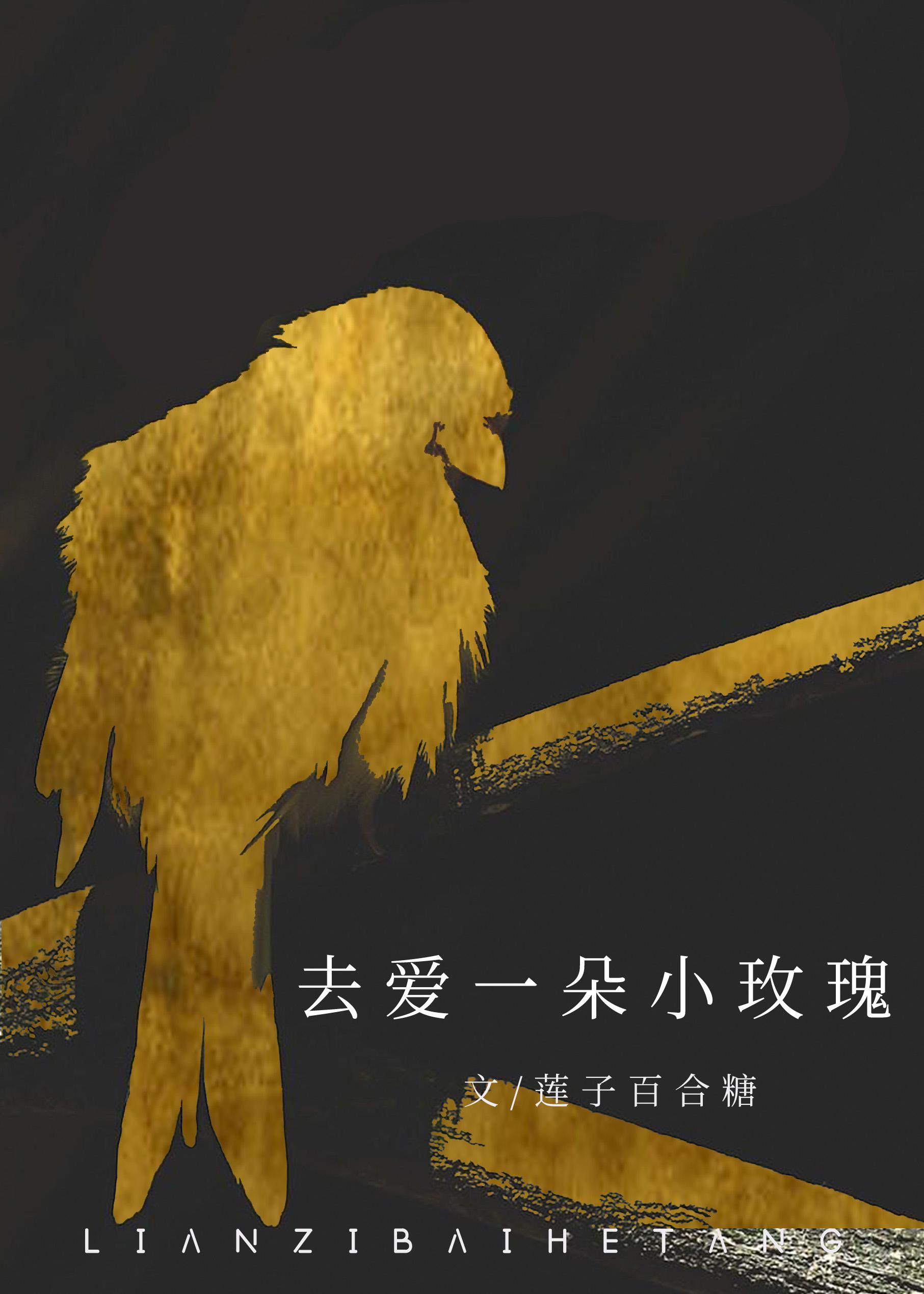 去爱一朵小玫瑰封面