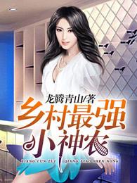 乡村最强小神农封面