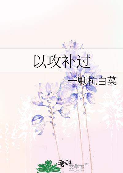 以攻补过封面