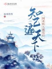 国术传人在古代,知己遍天下封面