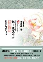 火爆丫鬟：杠上腹黑少爷封面