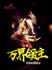 文明之万界领主类似的封面