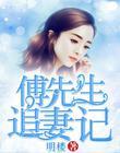 傅先生追妻记封面