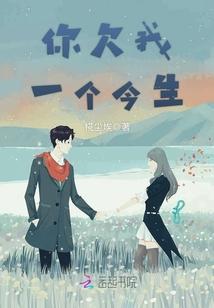 你欠我一个今生封面