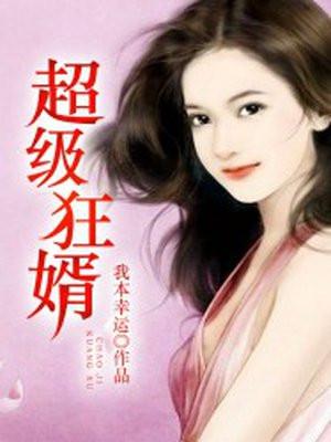 超级狂婿封面