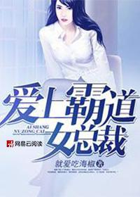爱上霸道女总裁封面