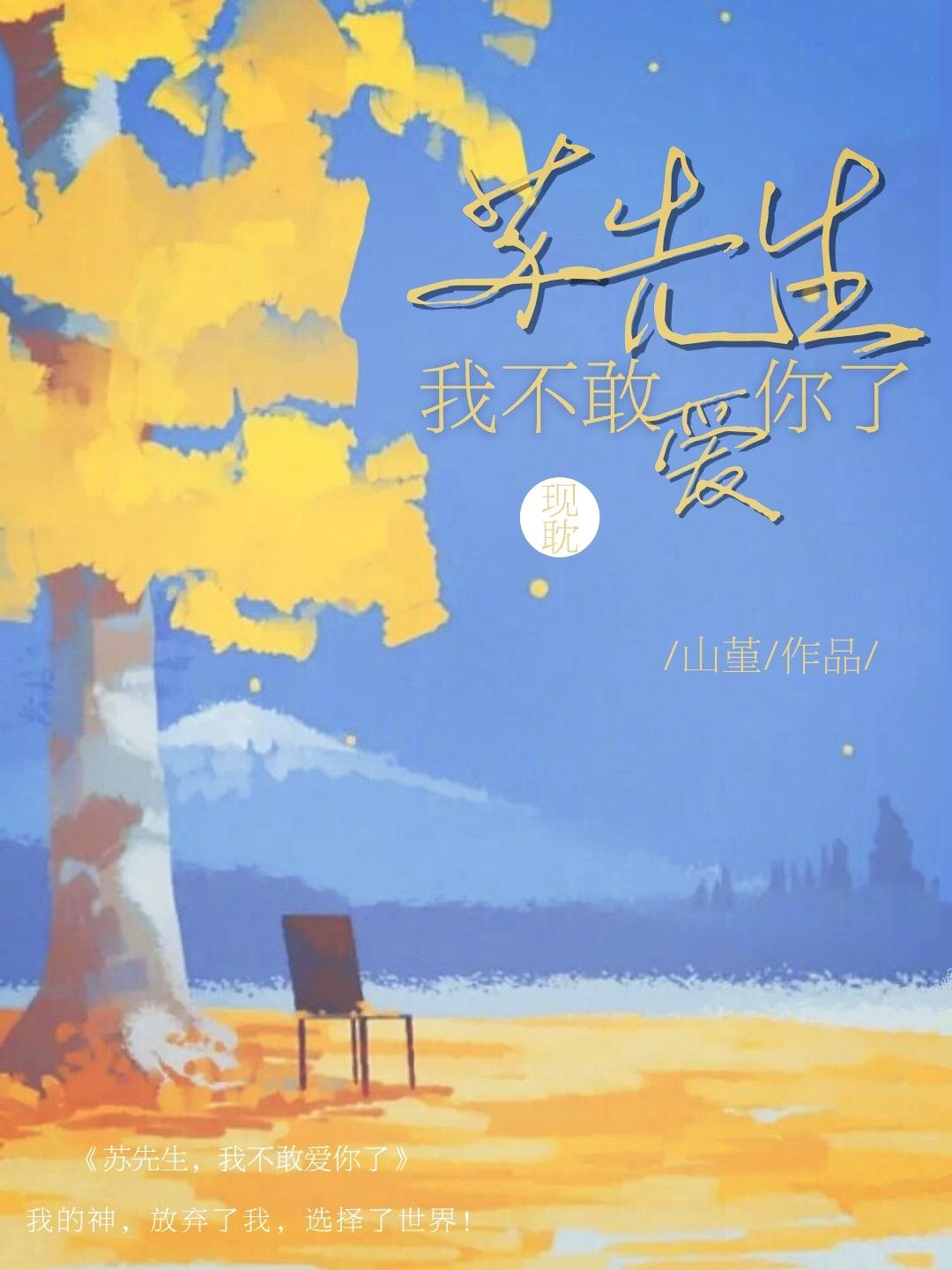 苏先生,我不敢爱你了封面