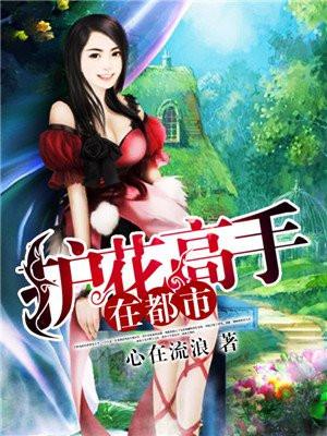 护花高手在都市封面
