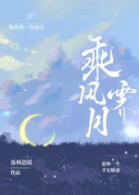 乘风霁月封面