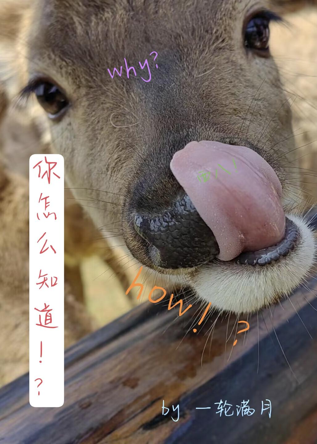 你怎么知道!?封面