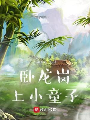 卧龙岗上小童子封面