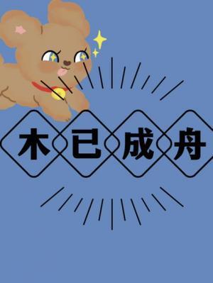 木已成舟封面