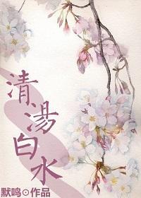 清汤白水封面