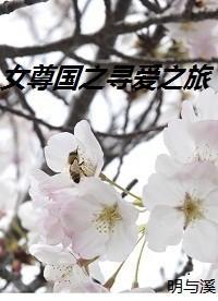 女尊国之寻爱之旅封面